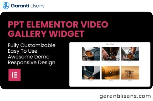 PPT – Video Gallery Elementor Widget
