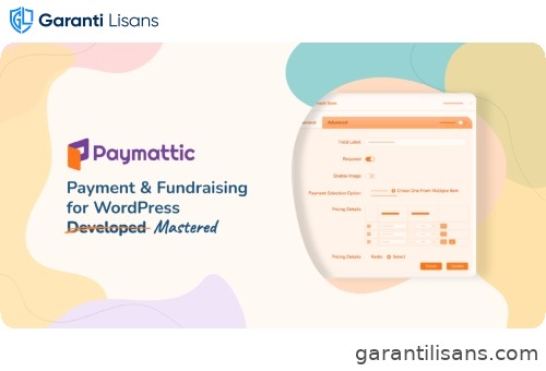 Paymattic Pro – WordPress Payment and Donation