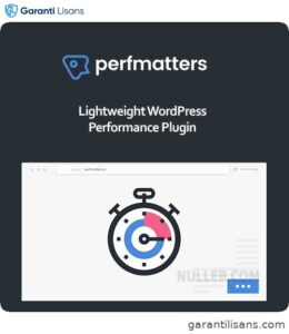 Perfmatters – Accelerator WordPress