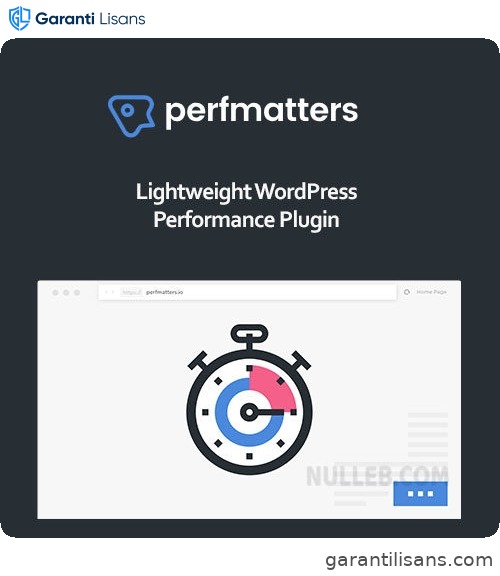 Perfmatters – Accelerator WordPress