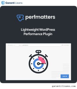 Perfmatters WordPress Plugin