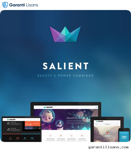 Salient – Responsive Multi-Purpose Theme
