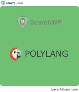 SearchWP Polylang Integration