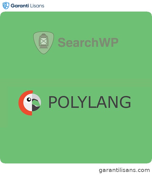 SearchWP Polylang Integration