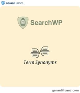 SearchWP Term Synonyms