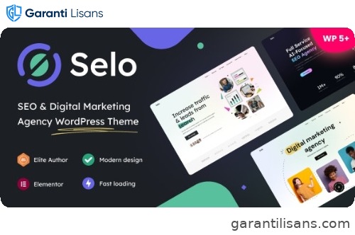 Selo – SEO & Digital Marketing Agency WordPress Theme