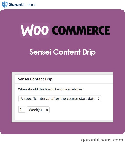 Sensei Content Drip