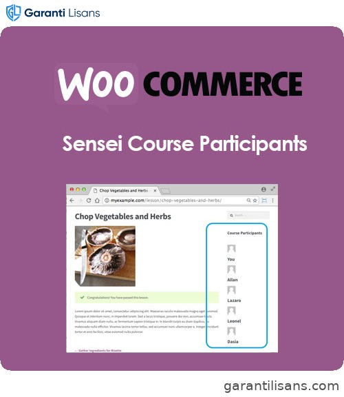 Sensei Course Participants
