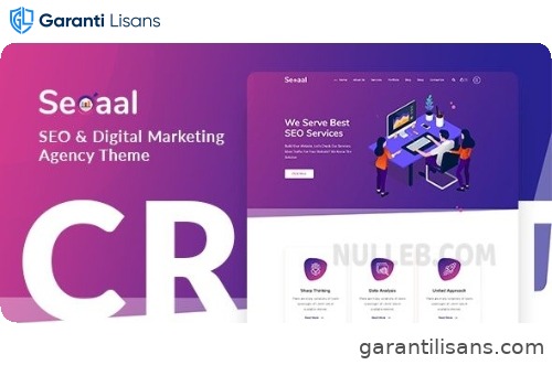Seoaal – SEO & Digital Marketing WordPress Theme