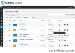 Simple Custom CSS and JS PRO