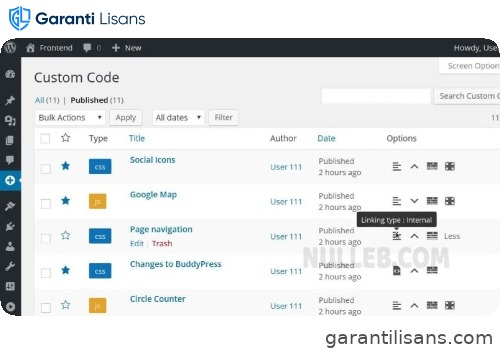 Simple Custom CSS and JS PRO
