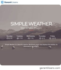 Simple Weather Plugin