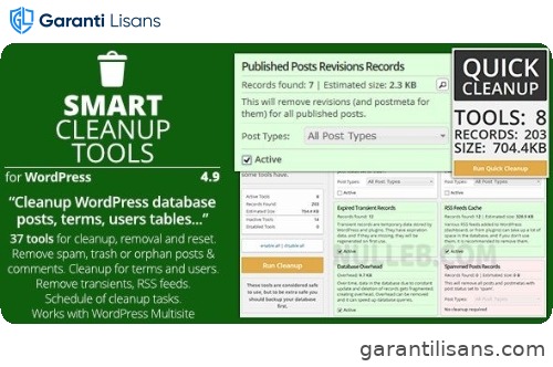 Smart Cleanup Tools – Plugin for WordPress