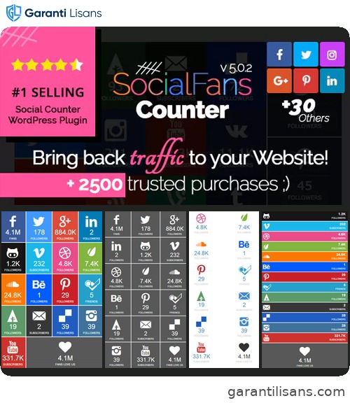 SocialFans – WP Responsive Social Counter Plugin