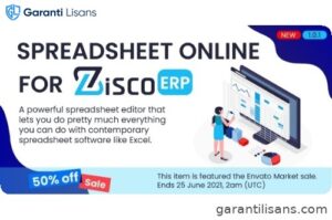Spreadsheet online for ZiscorERP