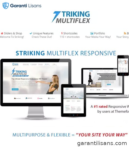 Striking MultiFlex & Ecommerce Responsive WP Theme