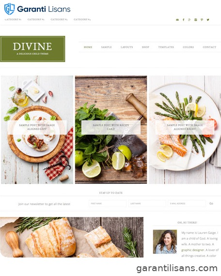 StudioPress Divine Pro Genesis WordPress Theme