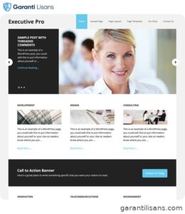 StudioPress Executive Pro Genesis WordPress Theme