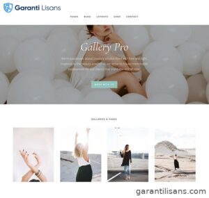 StudioPress Gallery Pro Genesis WordPress Theme