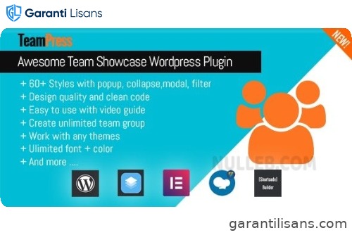 TeamPress – Team Showcase plugin