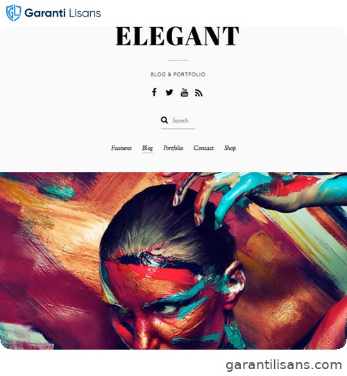 Themify Elegant WordPress Theme