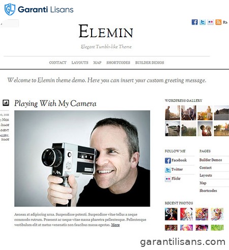 Themify Elemin WordPress Theme