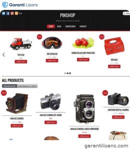 Themify Pinshop WooCommerce Theme