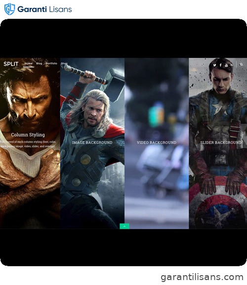 Themify Split WordPress Theme