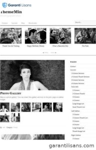 Themify Thememin WordPress Theme