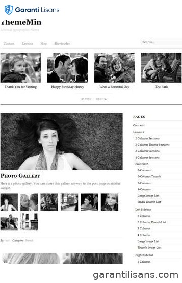 Themify Thememin WordPress Theme