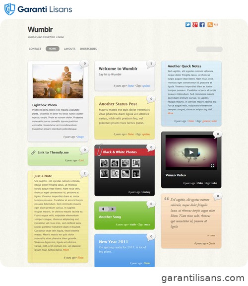Themify Wumblr WordPress Theme