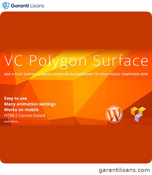 VC Polygon Surface