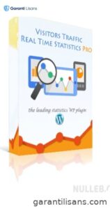 Visitor Traffic Real Time Statistics Pro