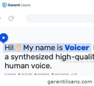 Voicer – Text to Speech Plugin for WordPress