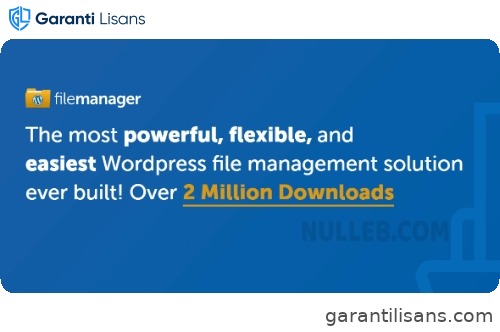 WP File Manager Pro