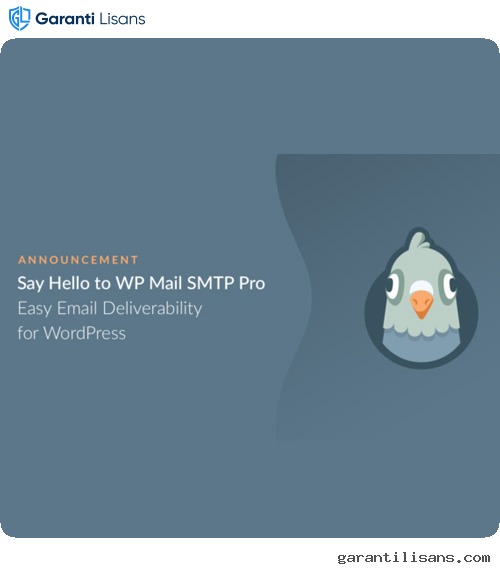 WP Mail SMTP Pro