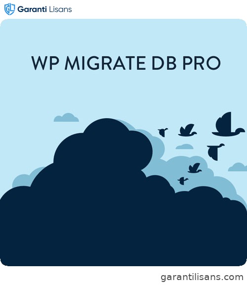WP Migrate DB Pro