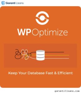 WP-Optimize Premium
