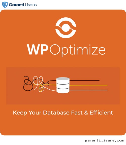 WP-Optimize Premium