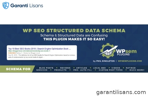 WP SEO Structured Data Schema Pro