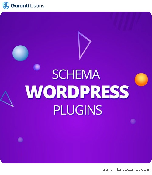 WP Schema Pro Plugin