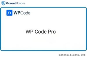 WPCode Pro – The Best WordPress Code Snippets Plugin