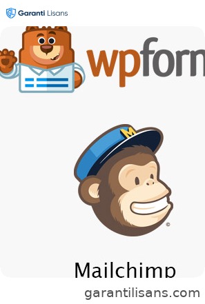 WPForms – Mailchimp