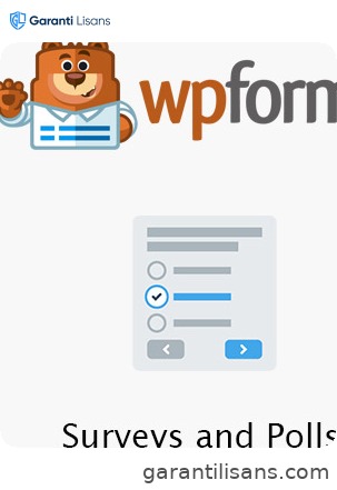 WPForms – Surveys and Polls