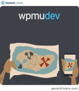 WPMU DEV Domain Mapping