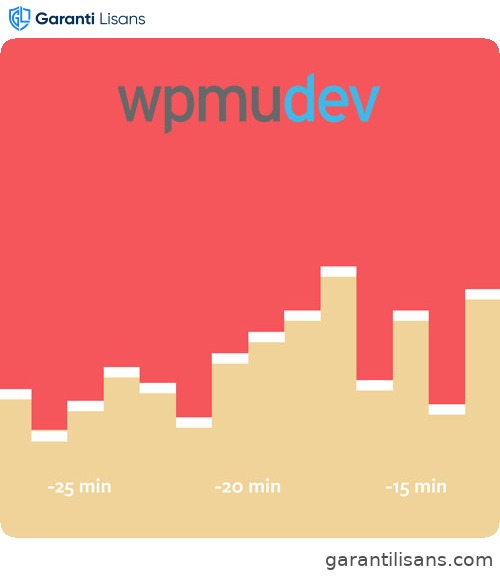 WPMU DEV Google Analytics Plus