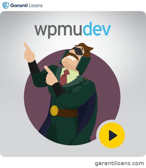 WPMU DEV Hustle