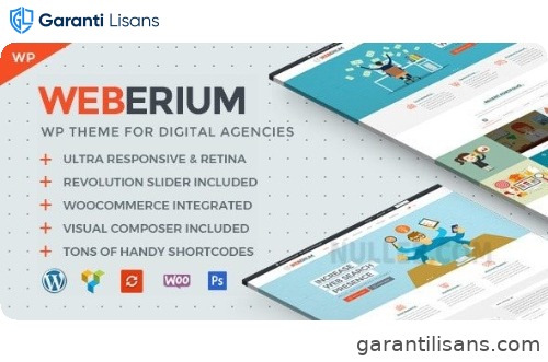Weberium | Responsive WordPress Theme Tailored for Digital Agencies