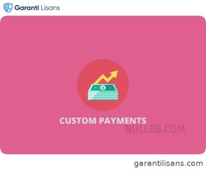 WooCommerce Custom Payment Gateway Pro