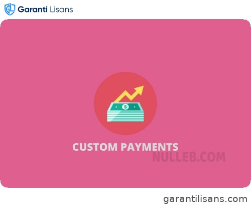 WooCommerce Custom Payment Gateway Pro